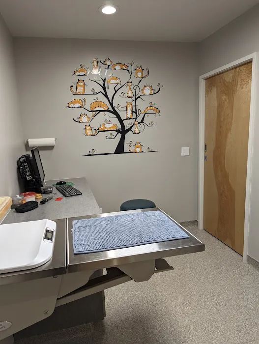 Cascade Heights Veterinary Center Picture 3