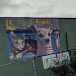Cascade Heights Veterinary Center