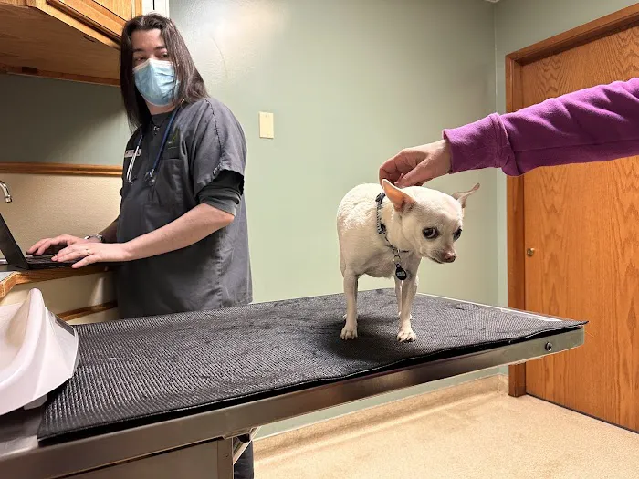 Greentree Animal Hospital Picture 5