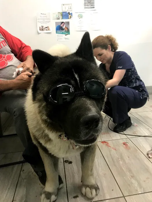 Los Coyotes Pet Hospital Picture 5