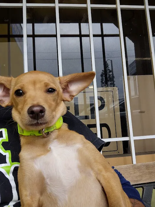 Boulevard Animal Hospital Picture 1
