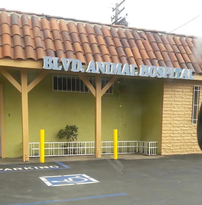 Boulevard Animal Hospital Picture 6