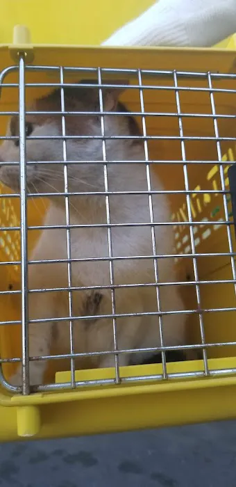 Boulevard Animal Hospital Picture 10