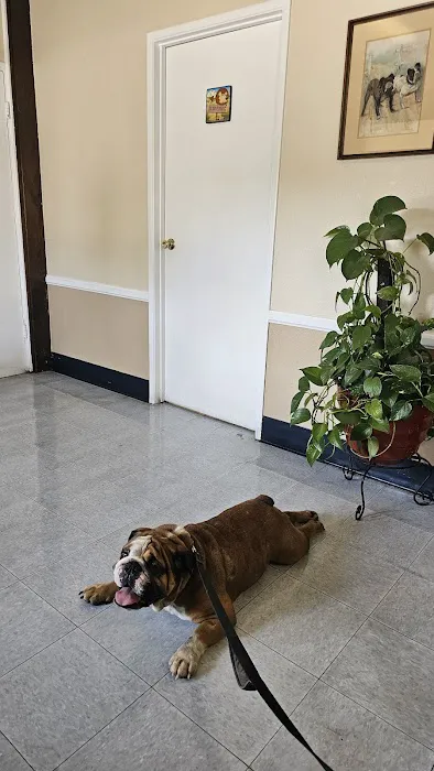 Evening Pet Clinic Picture 8