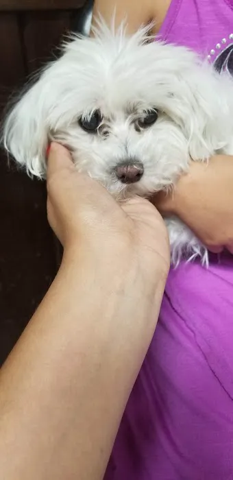Evening Pet Clinic Picture 5