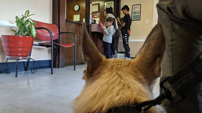 Evening Pet Clinic Picture 7