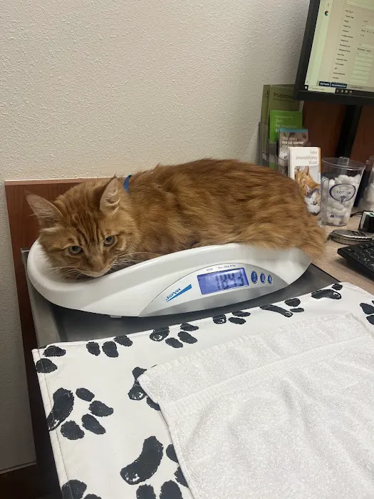 Freckles and Friends Pet Clinic Picture 5
