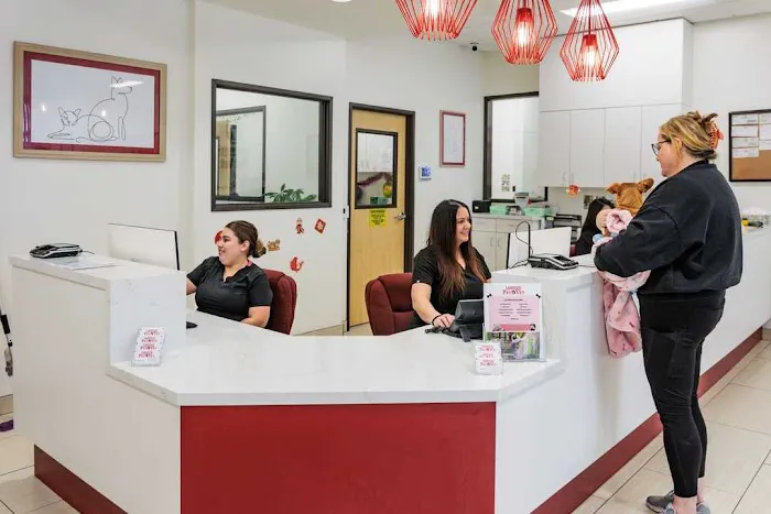 Lakewood Pet Vet Picture 3