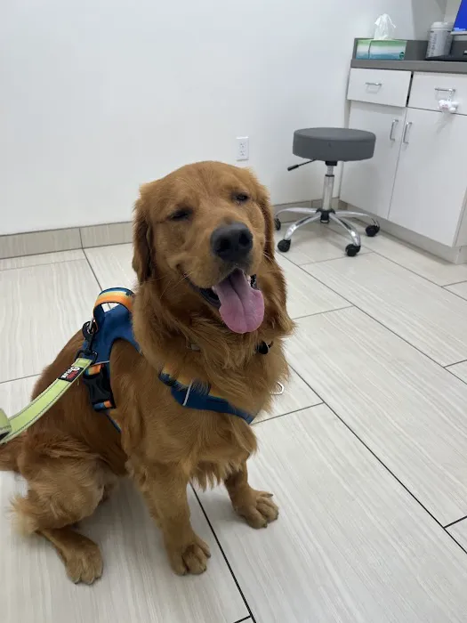 Lakewood Pet Vet Picture 2
