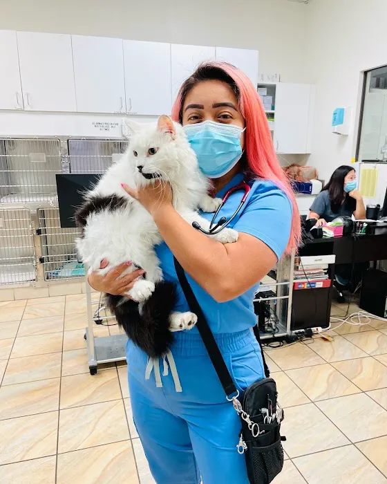 Lakewood Pet Vet Picture 4