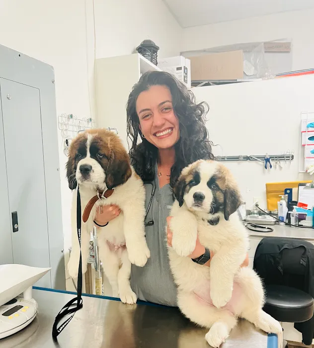 Lakewood Pet Vet Picture 10