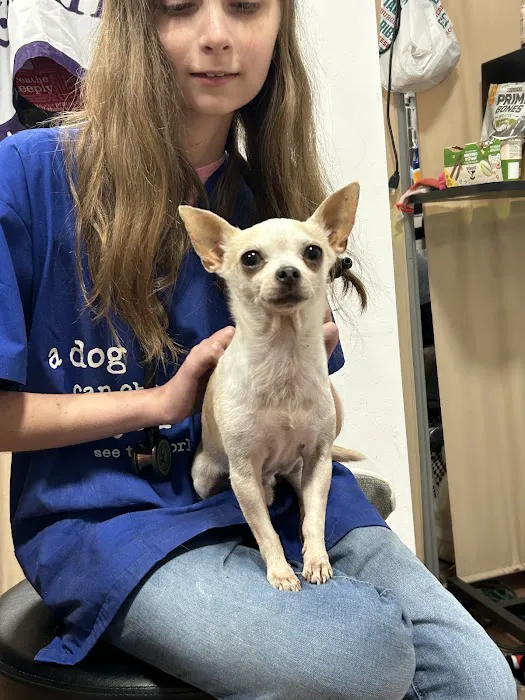 Petcare Express Picture 8