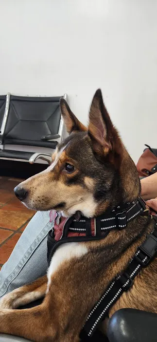 Petcare Express Picture 1