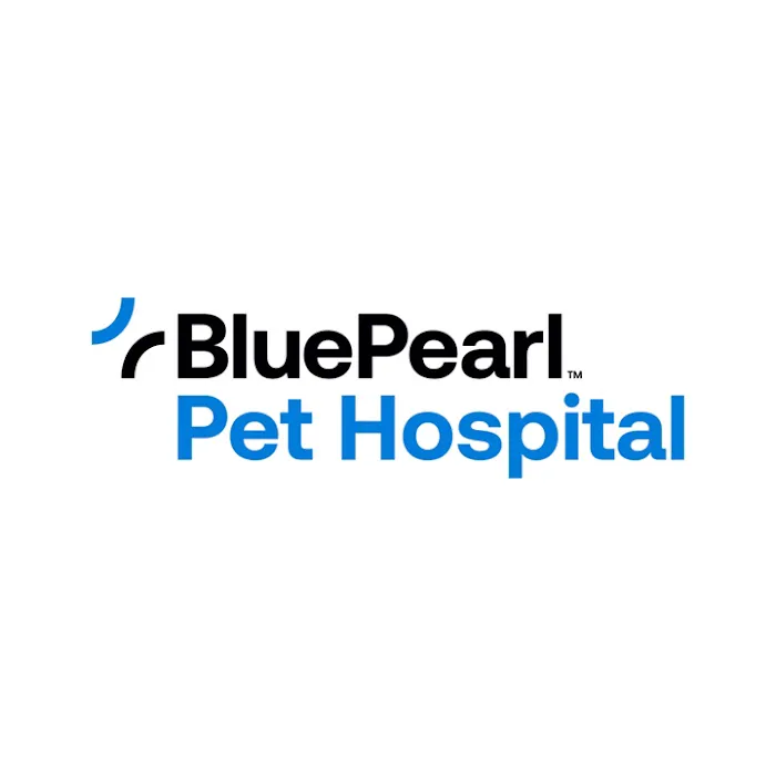 BluePearl Pet Hospital Picture 2