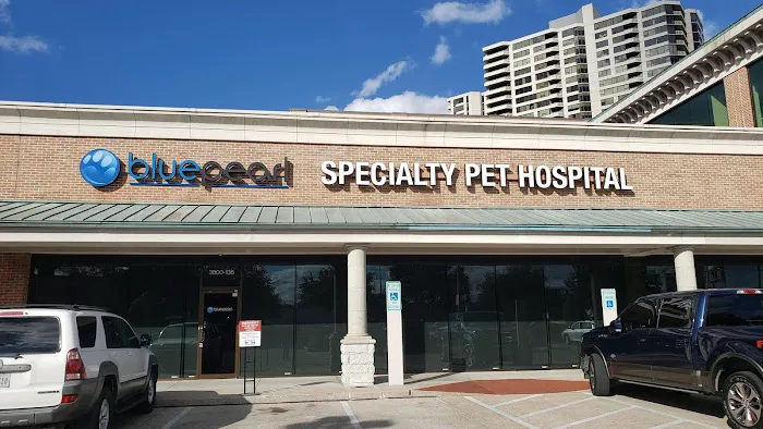 BluePearl Pet Hospital Picture 5