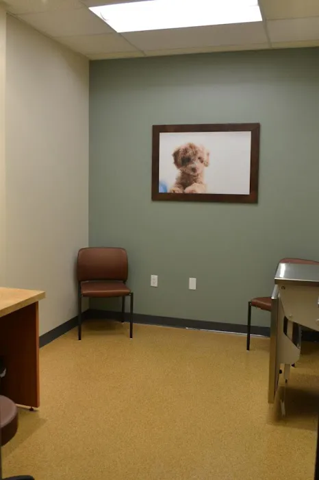 BluePearl Pet Hospital Picture 6