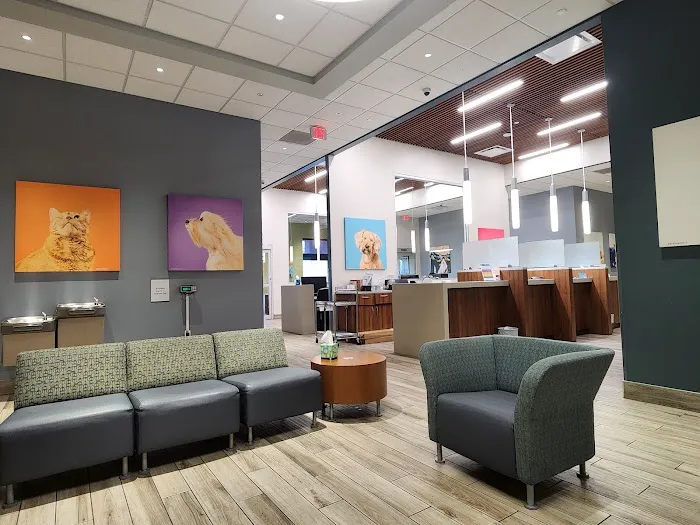 Gulf Coast Veterinary Specialists (GCVS) Picture 7