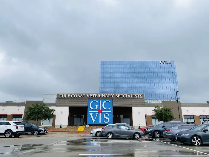 Gulf Coast Veterinary Specialists (GCVS) Picture 4