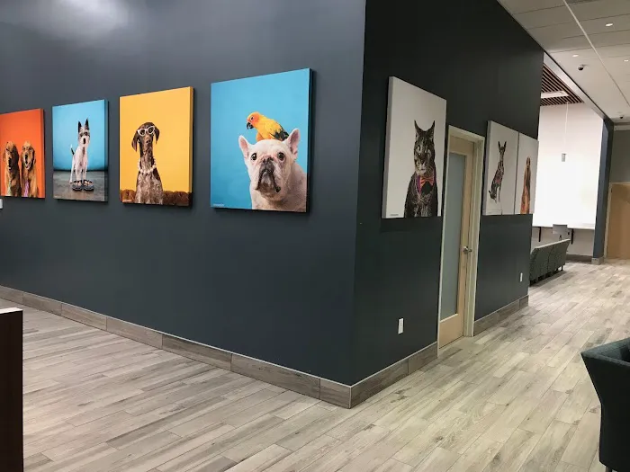 Gulf Coast Veterinary Specialists (GCVS) Picture 9