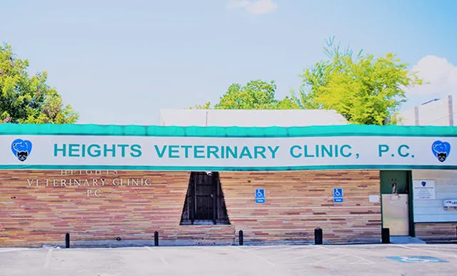 Heights Veterinary Clinic - Northwest Picture 5