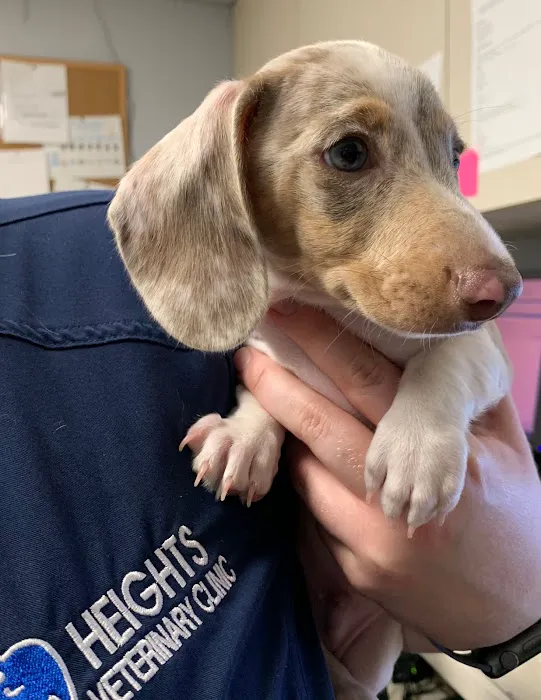 Heights Veterinary Clinic - Northwest Picture 6