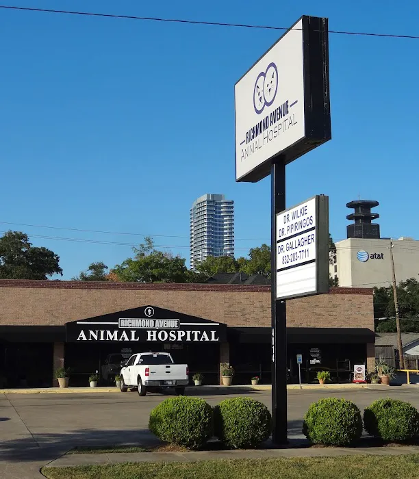 Richmond Avenue Animal Hospital Picture 2
