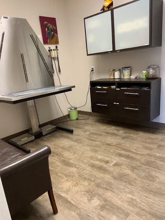 Richmond Avenue Animal Hospital Picture 5