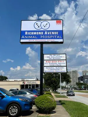 Richmond Avenue Animal Hospital Picture 4