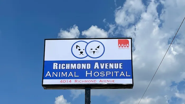 Richmond Avenue Animal Hospital Picture 9