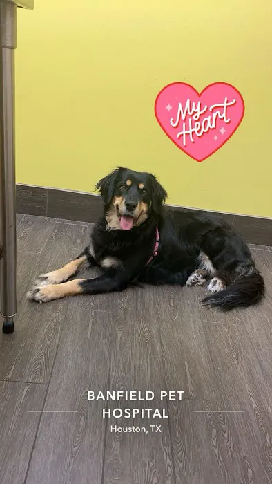 Banfield Pet Hospital Picture 1