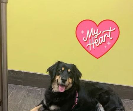 Banfield Pet Hospital