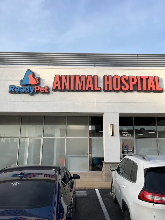 ReadyPet Animal Hospital Picture 1