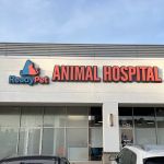 ReadyPet Animal Hospital