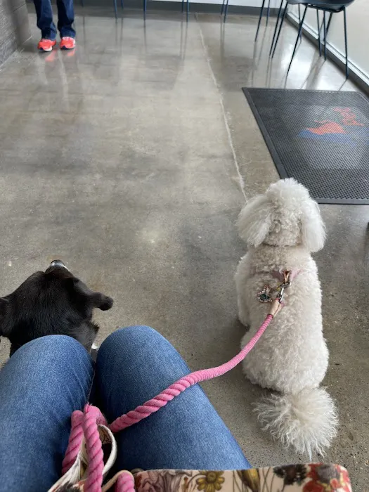 ReadyPet Animal Hospital Picture 8