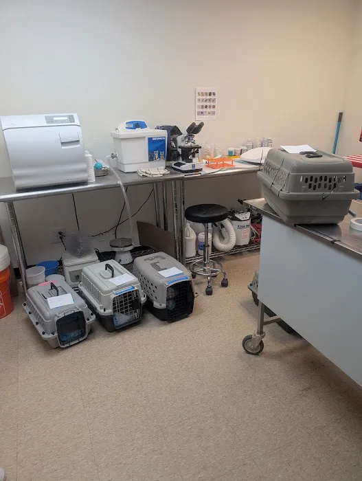 The Rescue Vet Clinic Picture 5