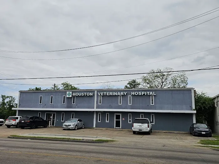 Houston Veterinary Hospital Picture 10