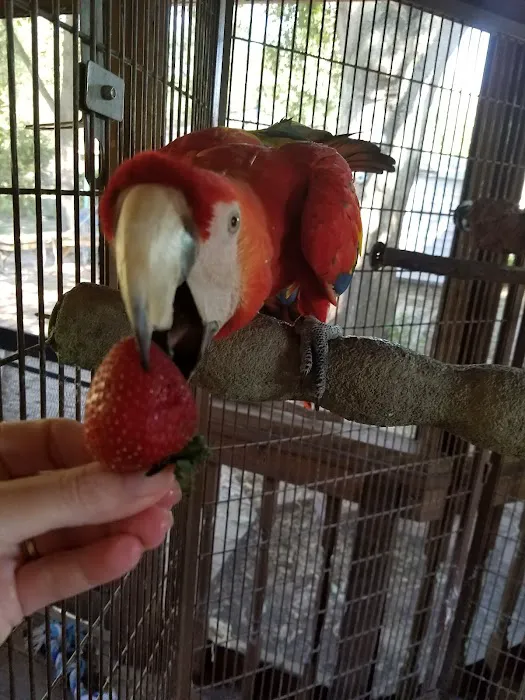 Southeast Animal Clinic Picture 4