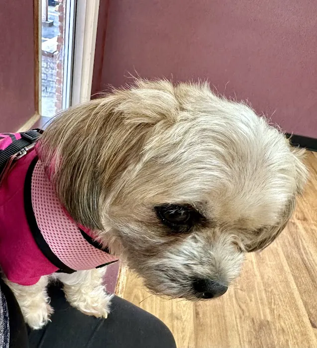 Richey Animal Clinic Picture 7