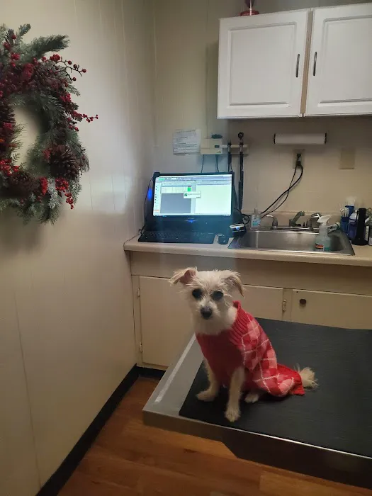 Richey Animal Clinic Picture 10