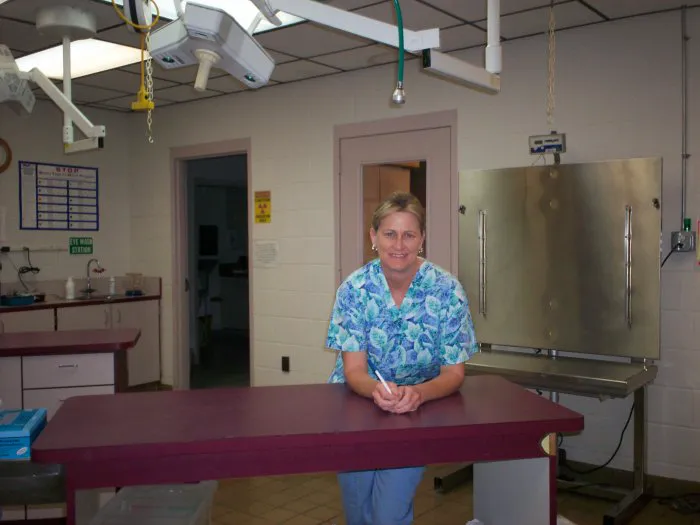 VCA Animal Emergency Hospital Southeast Picture 10