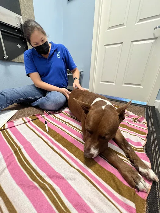 Veterinary Chiropractic and Rehabilitation Clinic Picture 9