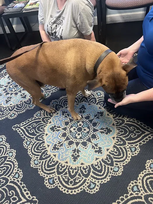 Veterinary Chiropractic and Rehabilitation Clinic Picture 6