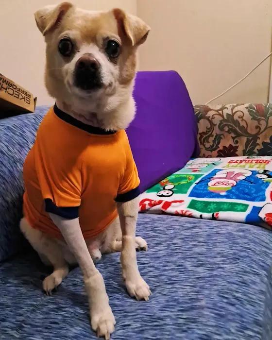 Banfield Pet Hospital Picture 7