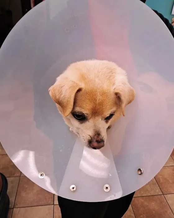 Banfield Pet Hospital Picture 6