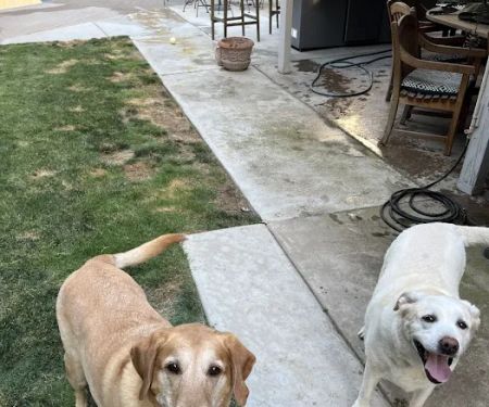 Bullard Marks Veterinary Medical Center