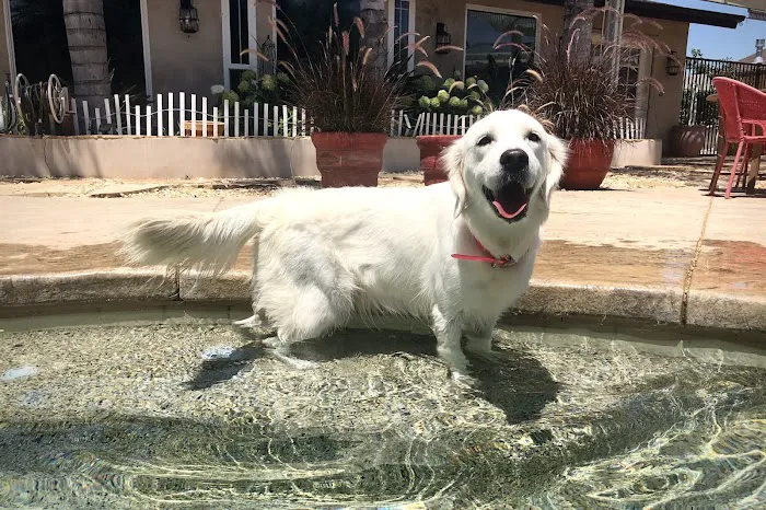 Family Pet Hospital Picture 2
