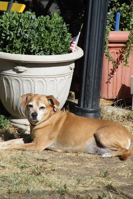 Family Pet Hospital Picture 6
