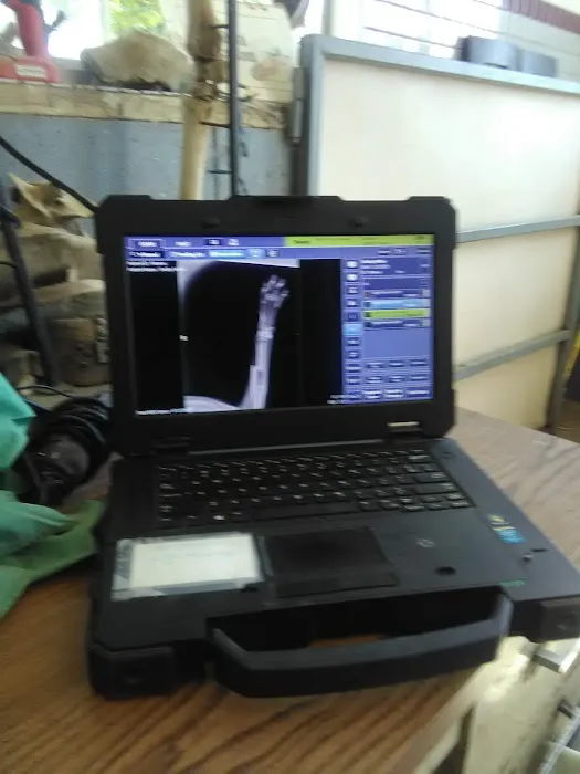Clovis Equine Clinic Picture 2