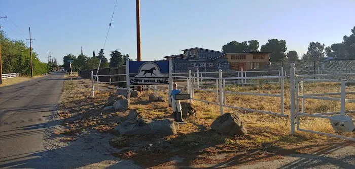 Clovis Equine Clinic Picture 3