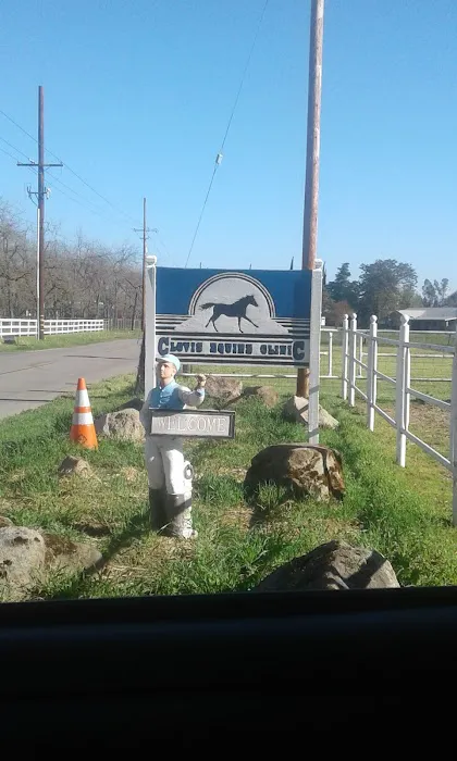Clovis Equine Clinic Picture 7